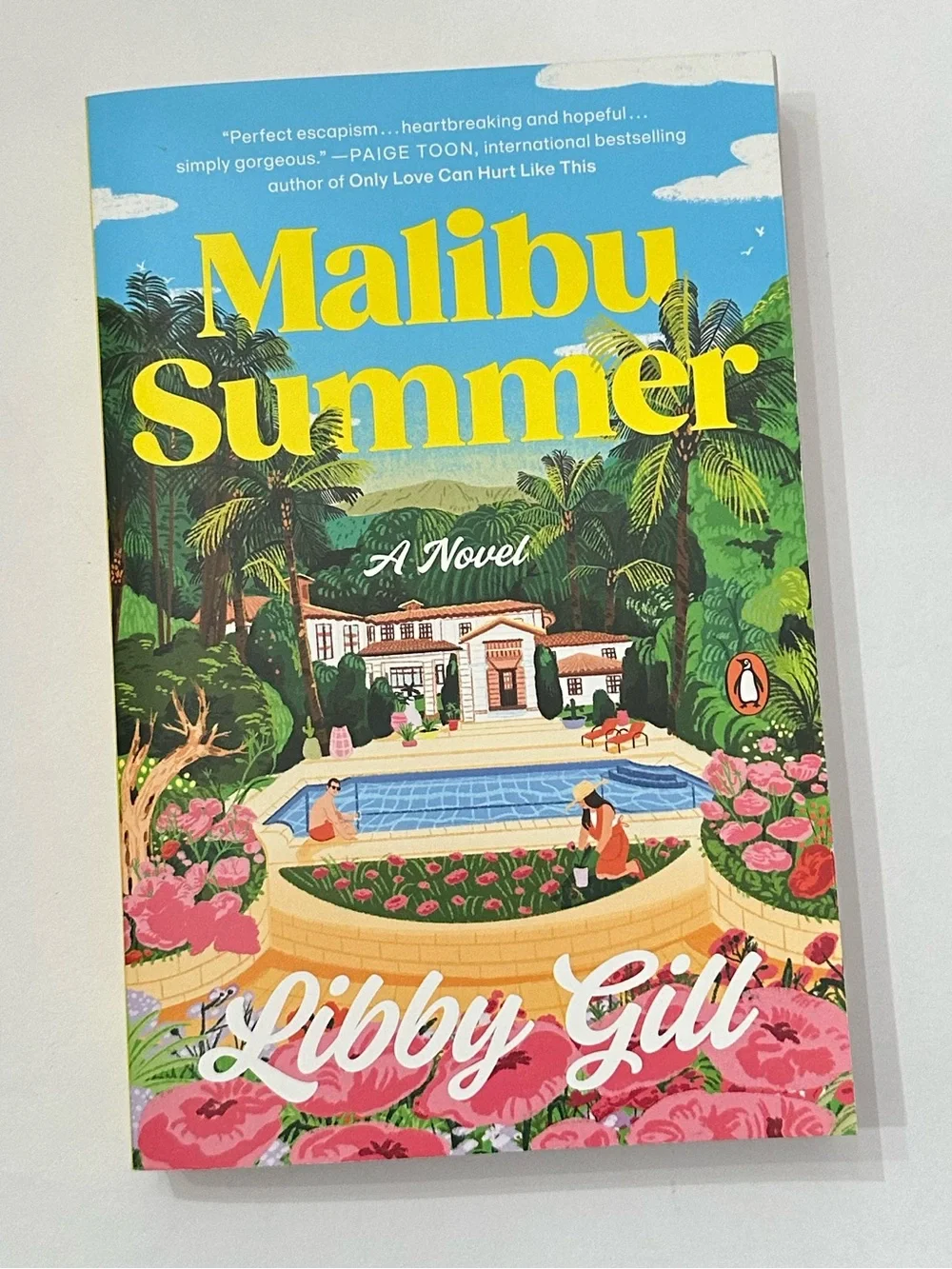 Malibu Summer by Libby Gill Paperback Summer Romance Book